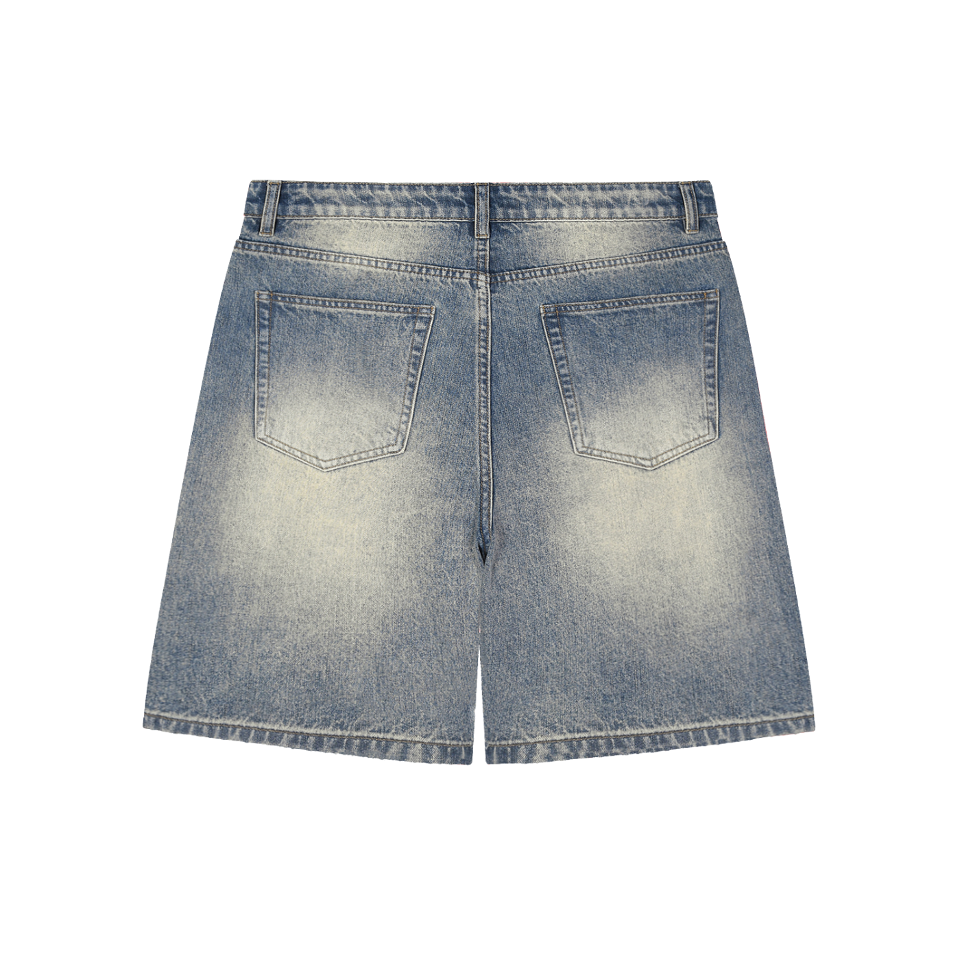 ZS Demin Distressed Jorts